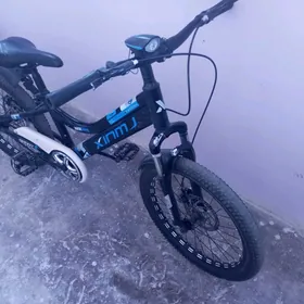 welsopet