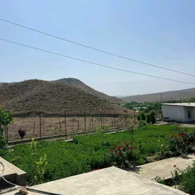 Tayyar Daca 8 yapdan