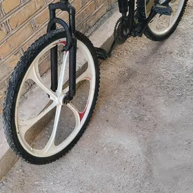 tigir  welsepet kama welik