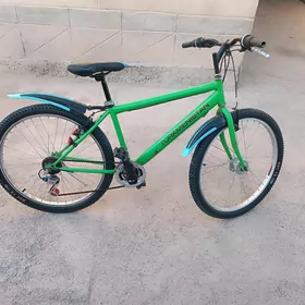 tigir Turkmenistan 26