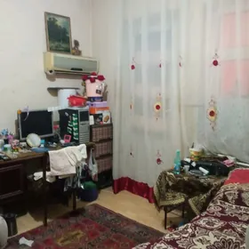 квартира