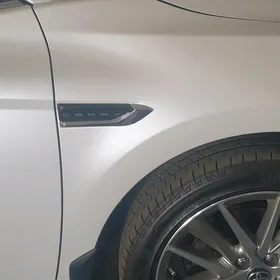 Camry 21-23 gapy krylo emblema