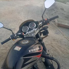 Fekon FK150-8G 2014