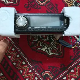 pioneer