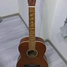 Gitara italyanski