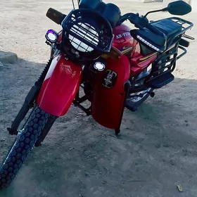 Fekon FK150-8G 2024