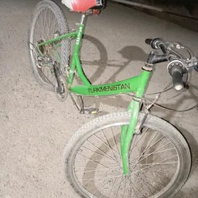 TİGİR TÛRKMENİSTAN