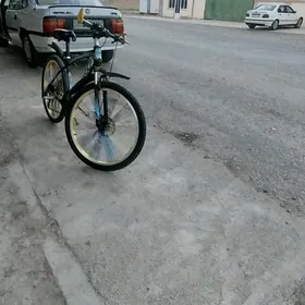 tigir