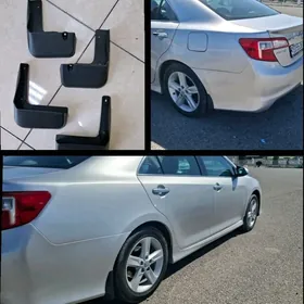 kemri es klas brazgawik 11.14