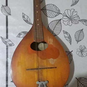 музыкальные инструменты