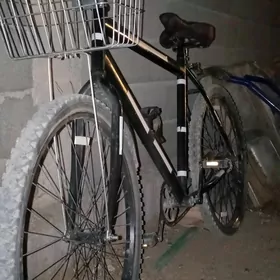 26lyk tigir