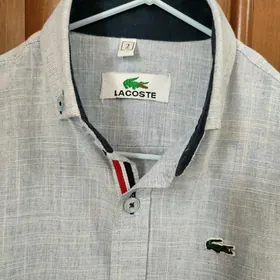 Lacosta çaga koynek рубашка