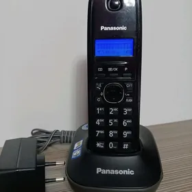 Panasonic