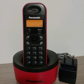Panasonic