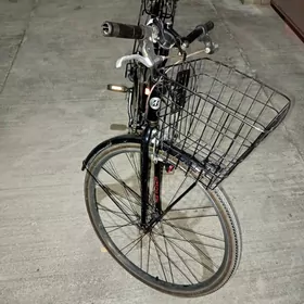 Bristok tigir