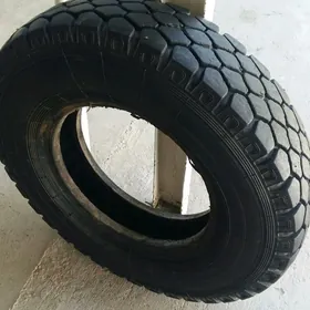 Zil teker pakrișka 9