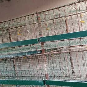 Клетка для кур