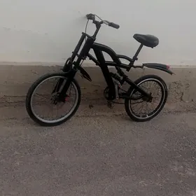 tigir 20lik
