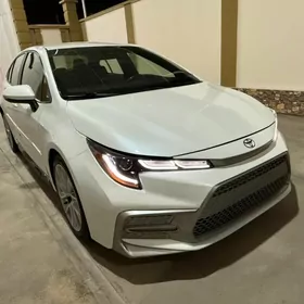 Toyota Corolla 2021