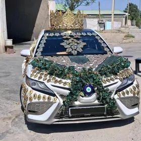 Tayoto Camry Fara