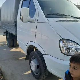 gazel