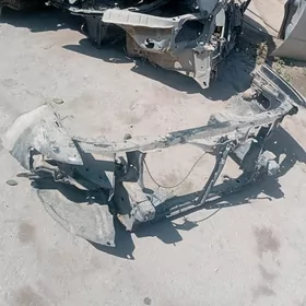 kelte morda taÿota çeÿzir