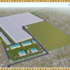 теплица ýyladyşhana