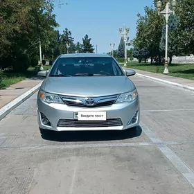 Toyota Camry 2013