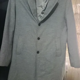 damat palto