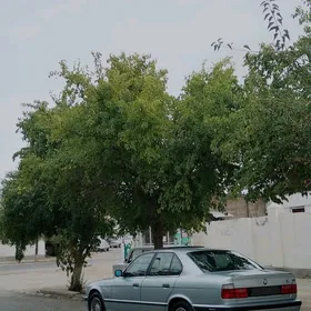 BMW E34 1995