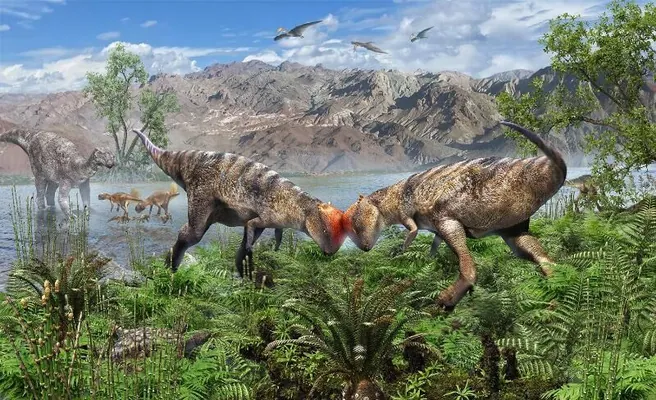 Gobi çölünde üýtgeşik tegelek kelleli dinozawr tapyldy