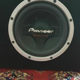 kalonka pioneer