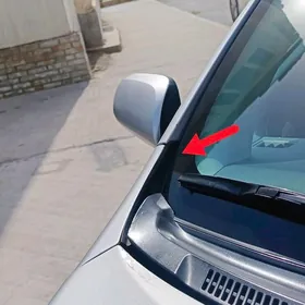 carolla stoyka rezin