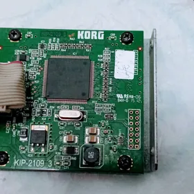 KORG MP3 plata