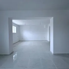 Arenda Anew sokolni