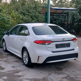 Toyota Corolla 2021