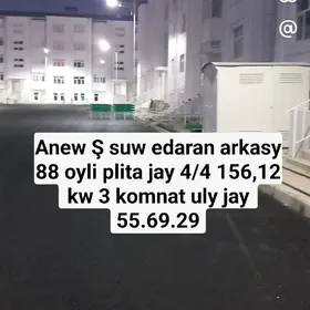 Satlyk jay