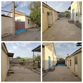 Garadamak Şor plan jay