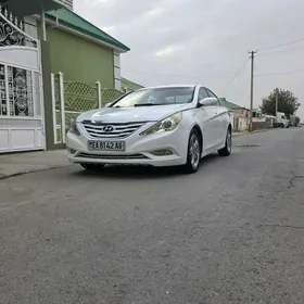 Hyundai Sonata 2010