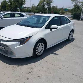 Toyota Corolla 2021
