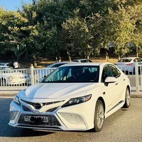 Toyota Camry 2021