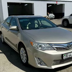 Toyota Camry 2013