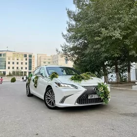 Lexus  2023   Toy