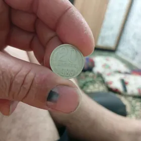 монета