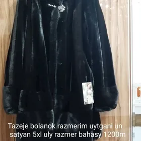 şuba