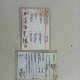 tehpasport prawa yıtdı