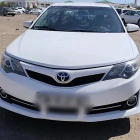 Toyota Camry 2013