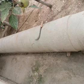 2,5 kublyk suw ucin ulanylan