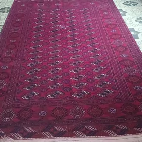 turkmen halysy