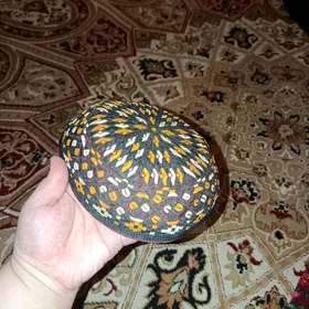 tahya